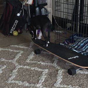 Meet your Posher, Savannah